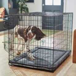 Frisco Self Warming Dog Crate Mat 11 Frisco Self Warming Dog Crate Mat -Pet Dog Shop 255337 PT5. AC SS1800 V1616102293