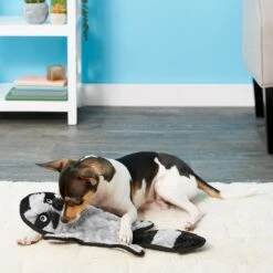 Frisco Alligator Stuffing-Free Flat Plush Squeaky Dog Toy & Frisco Raccoon Stuffing-Free Flat Plush Squeaky Dog Toy 9 Frisco Alligator Stuffing-Free Flat Plush Squeaky Dog Toy & Frisco Raccoon Stuffing-Free Flat Plush Squeaky Dog Toy -Pet Dog Shop 255471 PT4. AC SS1800 V1602691287