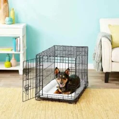 Frisco Fold & Carry Single Door Collapsible Wire Dog Crate & Frisco Quilted Dog Crate Mat 7 Frisco Fold & Carry Single Door Collapsible Wire Dog Crate & Frisco Quilted Dog Crate Mat -Pet Dog Shop 255493 PT2. AC SS1800 V1603545085