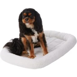 Frisco Heavy Duty Fold & Carry Single Door Collapsible Wire Dog Crate & Frisco Quilted Dog Crate Mat -Pet Dog Shop 255551 PT4. AC SS1800 V1604096523