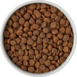 Frisco Ceramic Food Dog & Cat Bowl With Wood Base -Pet Dog Shop 256043 PT6. AC SS1800 V1615311151