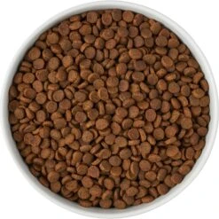 Frisco Paw Prints Non-skid Ceramic Bowl -Pet Dog Shop 256072 PT5. AC SS1800 V1615312318