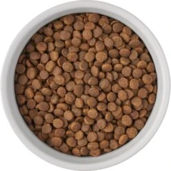 Frisco Bones Non-skid Ceramic Dog & Cat Bowl -Pet Dog Shop 256074 PT5. AC SS1800 V1615312010