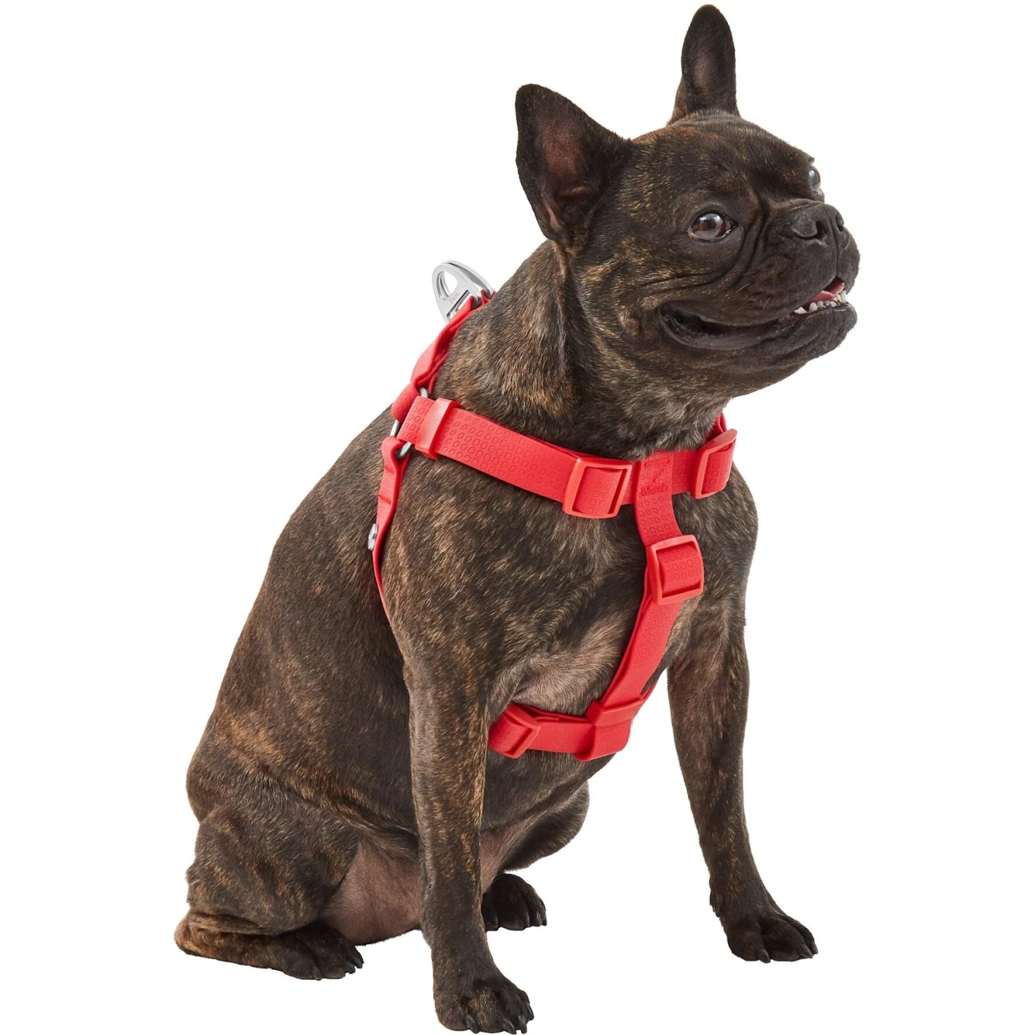 Frisco Outdoor Solid Textured Waterproof Stink Proof PVC Dog Harness 3 Frisco Outdoor Solid Textured Waterproof Stink Proof PVC Dog Harness - Image 3