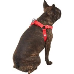 Frisco Outdoor Solid Textured Waterproof Stink Proof PVC Dog Harness 8 Frisco Outdoor Solid Textured Waterproof Stink Proof PVC Dog Harness -Pet Dog Shop 256518 PT3. AC SS1800 V1625164999