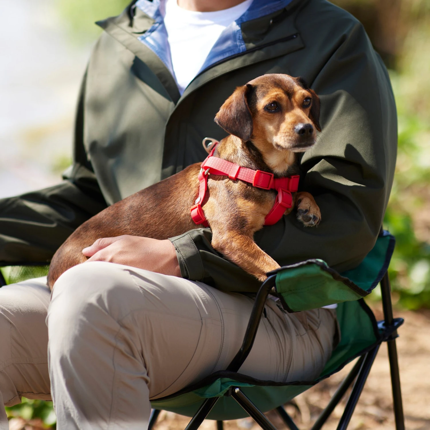 Frisco Outdoor Solid Textured Waterproof Stink Proof PVC Dog Harness 5 Frisco Outdoor Solid Textured Waterproof Stink Proof PVC Dog Harness - Image 5