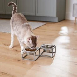 Frisco Elevated Diamond Stainless Steel Double Diner Dog & Cat Bowl 12 Frisco Elevated Diamond Stainless Steel Double Diner Dog & Cat Bowl -Pet Dog Shop 257147 PT5. AC SS1800 V1615989105