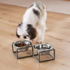 Frisco Elevated Diamond Stainless Steel Double Diner Dog & Cat Bowl 13 Frisco Elevated Diamond Stainless Steel Double Diner Dog & Cat Bowl -Pet Dog Shop 257147 PT8. AC SS1800 V1615840442