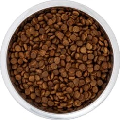 Frisco Black Iron Non-Skid Stainless Steel Dog & Cat Bowl -Pet Dog Shop 257152 PT4. AC SS1800 V1615311427