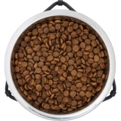 Frisco Triangle Iron Non-Skid Elevated Dog & Cat Bowl 12 Frisco Triangle Iron Non-Skid Elevated Dog & Cat Bowl -Pet Dog Shop 257155 PT4. AC SS1800 V1615311701
