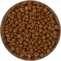 Frisco Flare Non-Skid Stainless Steel Dog & Cat Bowl 13 Frisco Flare Non-Skid Stainless Steel Dog & Cat Bowl -Pet Dog Shop 257162 PT4. AC SS1800 V1612366692