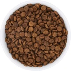 Frisco Bohemian Non-Skid Stainless Steel Dog & Cat Bowl 13 Frisco Bohemian Non-Skid Stainless Steel Dog & Cat Bowl -Pet Dog Shop 257195 PT4. AC SS1800 V1615311089