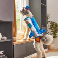 Frisco Rocket Ship Dog & Cat Costume 15 Frisco Rocket Ship Dog & Cat Costume -Pet Dog Shop 260904 PT8. AC SS1800 V1624400386