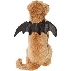 Frisco Bat Wings Dog & Cat Costume -Pet Dog Shop 261113 PT2. AC SS1800 V1625077070