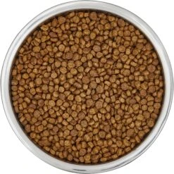 Frisco Insulated Non-Skid Flair Stainless Steel Dog & Cat Bowl 13 Frisco Insulated Non-Skid Flair Stainless Steel Dog & Cat Bowl -Pet Dog Shop 261753 PT4. AC SS1800 V1623937583