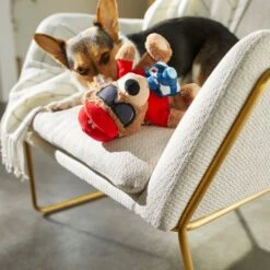 Frisco Road Trip Tourist Bear Plush Squeaky Dog Toy -Pet Dog Shop 261995 PT3. AC SS1800 V1618598730