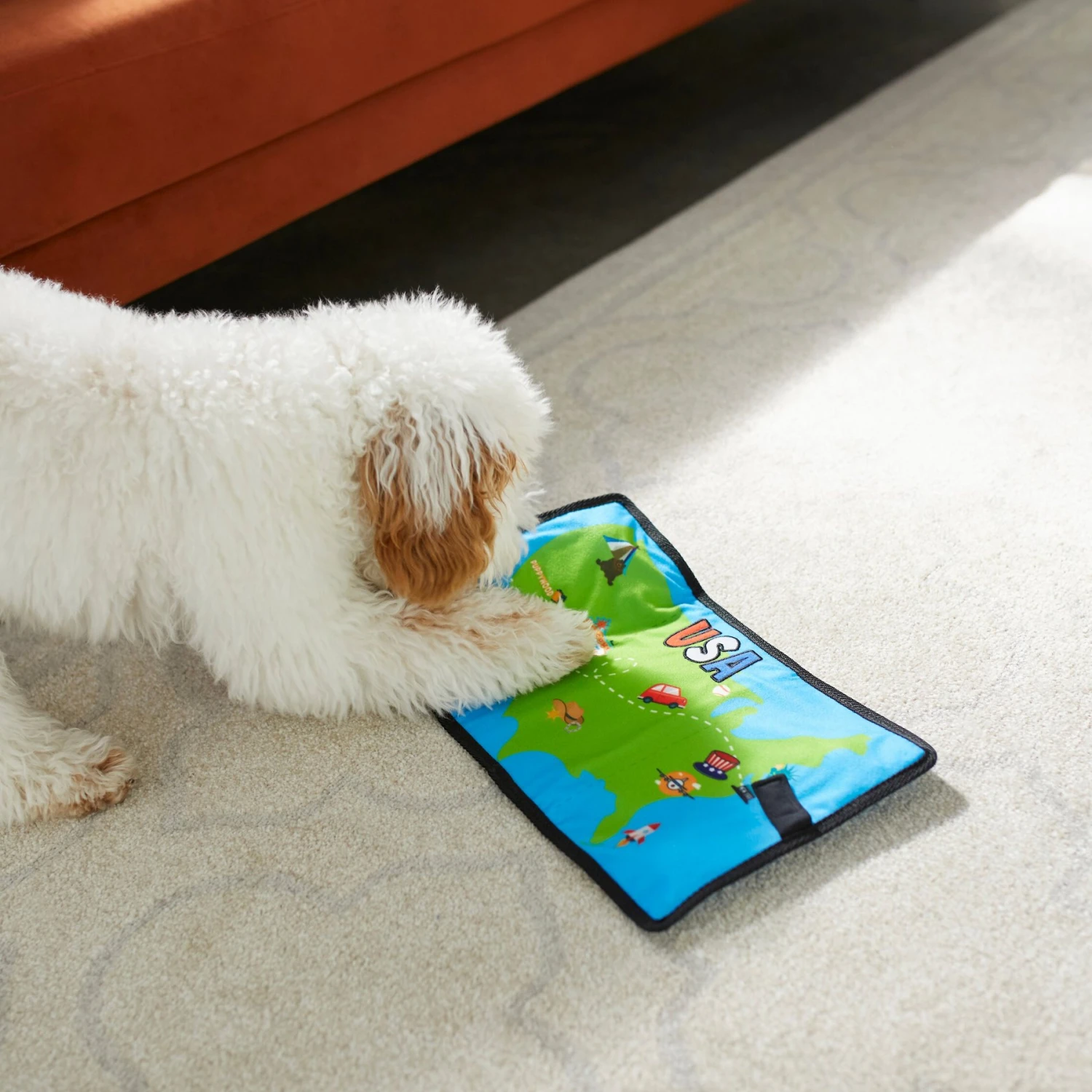 Frisco Road Trip Foldable Map Flat Plush Squeaky Dog Toy 5 Frisco Road Trip Foldable Map Flat Plush Squeaky Dog Toy - Image 5