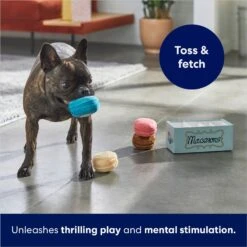 Frisco Macaron Interactive Plush Squeaky Dog Toy -Pet Dog Shop 264438 PT5. AC SS1800 V1686579089