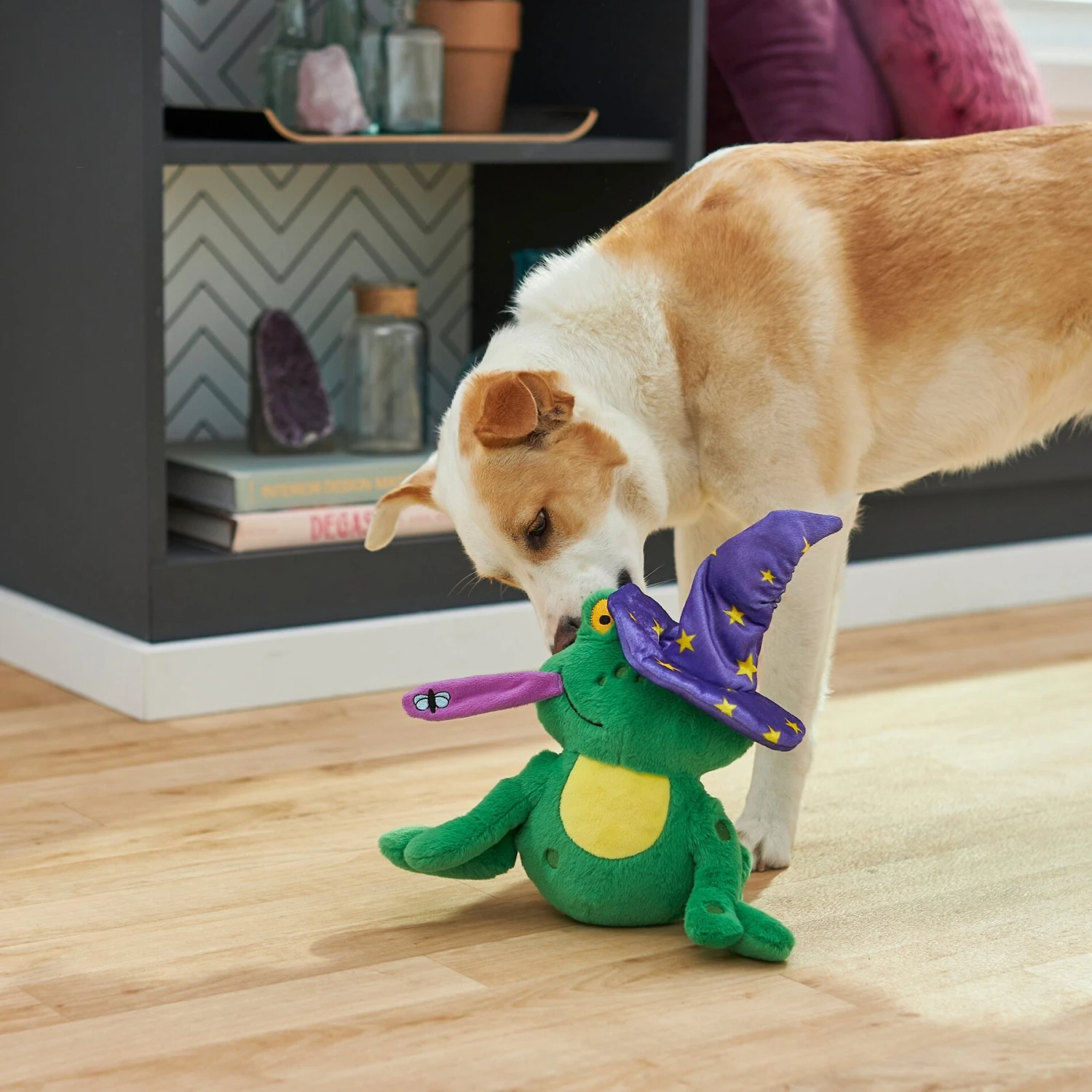 Frisco Magic Wizard Frog Plush Squeaky Dog Toy 3 Frisco Magic Wizard Frog Plush Squeaky Dog Toy - Image 3