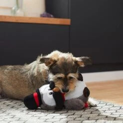 Frisco Magic Owl Plush Squeaky Dog Toy 5 Frisco Magic Owl Plush Squeaky Dog Toy -Pet Dog Shop 265596 PT3. AC SS1800 V1623352167