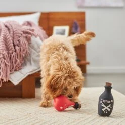 Frisco Magic Potions Latex Squeaky Dog Toy, 2 Count 5 Frisco Magic Potions Latex Squeaky Dog Toy, 2 Count -Pet Dog Shop 265632 PT3. AC SS1800 V1620939021