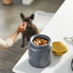 Frisco Modern Gold Rim Ceramic Treat Jar 7 Frisco Modern Gold Rim Ceramic Treat Jar -Pet Dog Shop 270190 PT2. AC SS1800 V1620762371