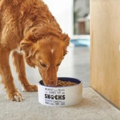 Frisco Food & Paw Non-skid Ceramic Dog Bowl 8 Frisco Food & Paw Non-skid Ceramic Dog Bowl -Pet Dog Shop 270195 PT2. AC SS1800 V1620762027