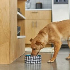 Frisco Houndstooth Non-skid Ceramic Dog Bowl -Pet Dog Shop 270200 PT2. AC SS1800 V1620762251