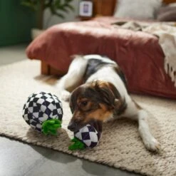 Frisco Halloween Fancy Pumpkin 2-in-1 Plush Squeaky Dog Toy -Pet Dog Shop 270359 PT3. AC SS1800 V1624817665