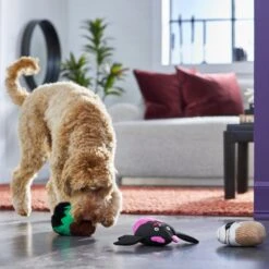 Frisco Halloween Cupcakes Plush Squeaky Dog Toy 7 Frisco Halloween Cupcakes Plush Squeaky Dog Toy -Pet Dog Shop 270367 PT3. AC SS1800 V1624817674