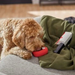 Frisco Halloween Vampire Teeth & Knife Latex Squeaky Dog Toy 6 Frisco Halloween Vampire Teeth & Knife Latex Squeaky Dog Toy -Pet Dog Shop 270512 PT3. AC SS1800 V1624817093