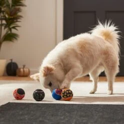 Frisco Halloween Glow In The Dark Fetch Squeaky Tennis Ball Dog Toy -Pet Dog Shop 270525 PT3. AC SS1800 V1624824980