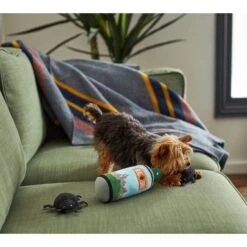 Frisco Camping Bug Spray Plush Squeaky Dog Toy, 3 Count -Pet Dog Shop 270989 PT3. AC SS1800 V1625009020