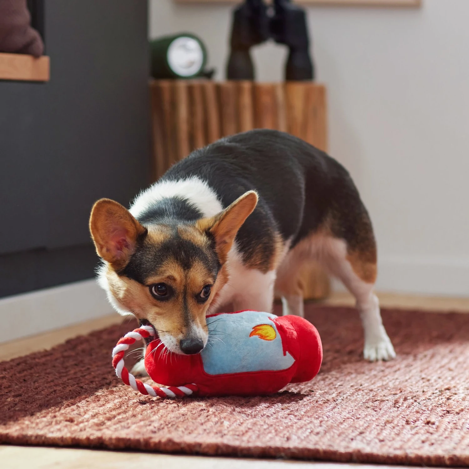 Frisco Camping Lantern Plush With Rope Squeaky Dog Toy 3 Frisco Camping Lantern Plush With Rope Squeaky Dog Toy - Image 3