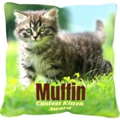 Frisco Personalized Basic Throw Pillow, 16" X 16" 5 Frisco Personalized Basic Throw Pillow, 16" X 16" -Pet Dog Shop 271237 PT2. AC SS1800 V1620405726