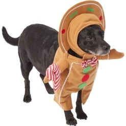 Frisco Front Walking Gingerbread Dog & Cat Costume 10 Frisco Front Walking Gingerbread Dog & Cat Costume -Pet Dog Shop 276156 PT3. AC SS1800 V1631660334