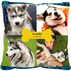 Frisco "Contemporary #2" Throw Pillow 16 X 16 5 Frisco "Contemporary #2" Throw Pillow 16 X 16 -Pet Dog Shop 276901 PT2. AC SS1800 V1625686286