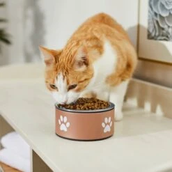 Frisco Paw Print Non-Skid Stainless Steel Dog & Cat Bowl 10 Frisco Paw Print Non-Skid Stainless Steel Dog & Cat Bowl -Pet Dog Shop 277546 PT3. AC SS1800 V1630347716