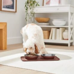 Frisco Silicone Stainless Steel Double Diner Dog & Cat Bowl, Brown 9 Frisco Silicone Stainless Steel Double Diner Dog & Cat Bowl, Brown -Pet Dog Shop 277551 PT2. AC SS1800 V1630346531