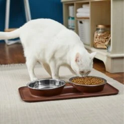 Frisco Silicone Stainless Steel Double Diner Dog & Cat Bowl, Brown 10 Frisco Silicone Stainless Steel Double Diner Dog & Cat Bowl, Brown -Pet Dog Shop 277551 PT3. AC SS1800 V1630348104