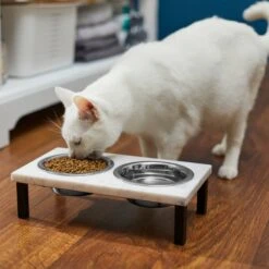 Frisco Marble Elevated Stainless Steel Double Diner Dog & Cat Bowls 9 Frisco Marble Elevated Stainless Steel Double Diner Dog & Cat Bowls -Pet Dog Shop 277559 PT3. AC SS1800 V1630347820