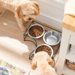 Frisco Multi Pet Feeding Corner 3-Bowls Stainless Steel Dog & Cat Bowl -Pet Dog Shop 277561 PT2. AC SS1800 V1630346973