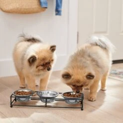 Frisco Multi Pet Feeding 3-Bowls Straight Stainless Steel Dog & Cat Bowl 9 Frisco Multi Pet Feeding 3-Bowls Straight Stainless Steel Dog & Cat Bowl -Pet Dog Shop 277568 PT2. AC SS1800 V1630346795