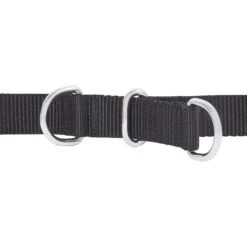 Frisco Basic No Pull Harness -Pet Dog Shop 277873 PT2. AC SS1800 V1629760100