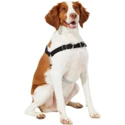 Frisco Basic No Pull Harness -Pet Dog Shop 277873 PT3. AC SS1800 V1629766656