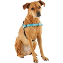 Frisco Padded Reflective No Pull Harness -Pet Dog Shop 277892 PT3. AC SS1800 V1629758833