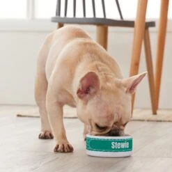 Frisco Personalized General Dog & Cat Small Dog Bowl 7 Frisco Personalized General Dog & Cat Small Dog Bowl -Pet Dog Shop 278924 PT3. AC SS1800 V1629147374