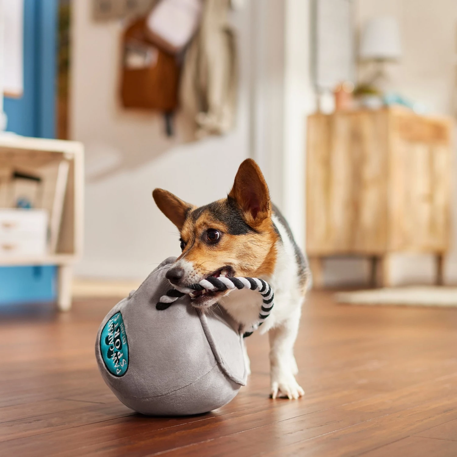 Frisco Football Helmet Plush With Rope Squeaky Dog Toy 3 Frisco Football Helmet Plush With Rope Squeaky Dog Toy - Image 3