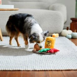 Frisco Fall Festive Candle Charger Plush Squeaky Dog Toy, 4 Count 5 Frisco Fall Festive Candle Charger Plush Squeaky Dog Toy, 4 Count -Pet Dog Shop 285615 PT3. AC SS1800 V1629725135