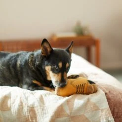 Frisco Fall Boot Plush Squeaky Dog Toy -Pet Dog Shop 285619 PT3. AC SS1800 V1629724969